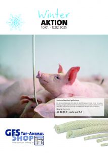 2025 Winteraktion Schwein Final 1